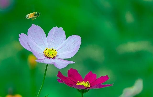 在线AOI设备工厂分享闲与雅人相聚