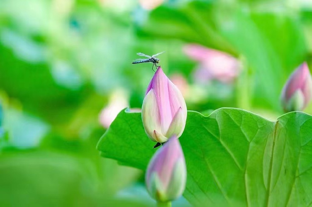 易科讯AOI分享客户的性格